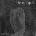 THE MARIGOLD - -divisional- cover 