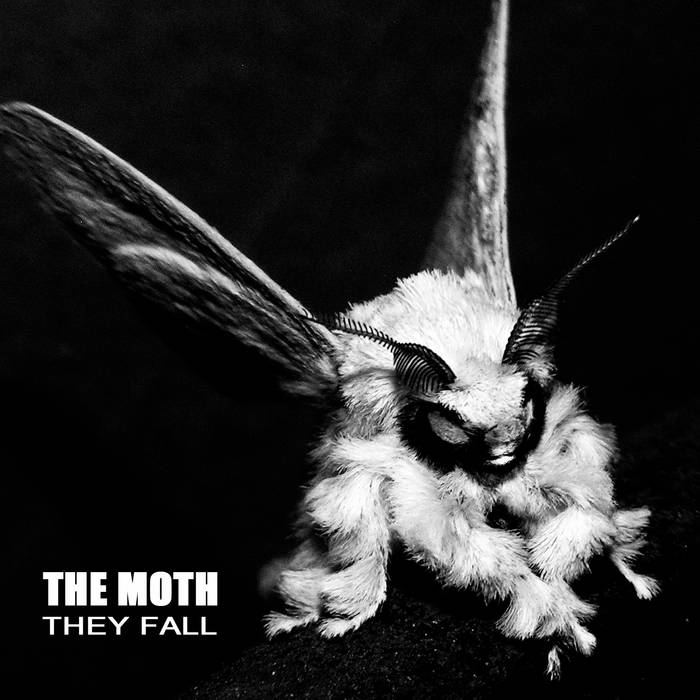 THE MOTH - They Fall cover 