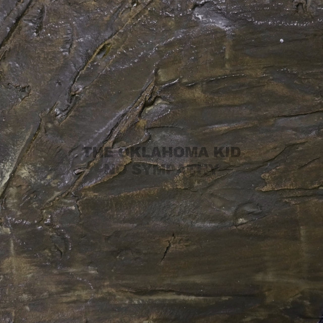 THE OKLAHOMA KID - No Sympathy cover 
