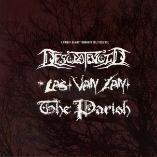 THE PARISH - Desolatevoid / The Last Van Zant / The Parish cover 