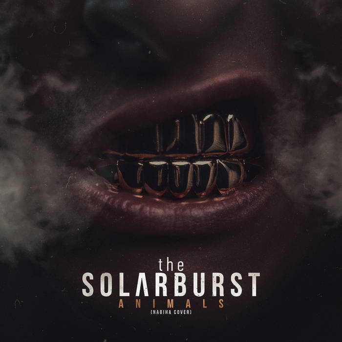 THE SOLARBURST - Animals cover 