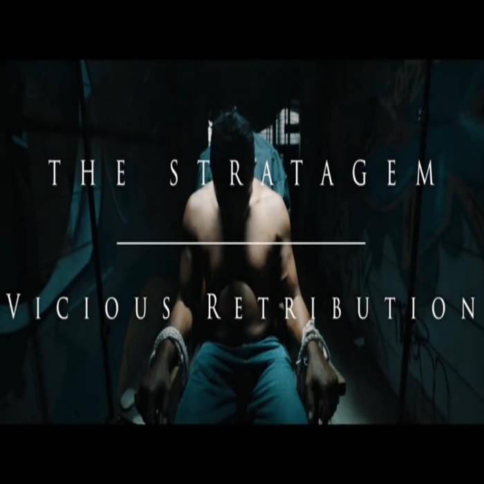 THE STRATAGEM - Vicious Retribution cover 