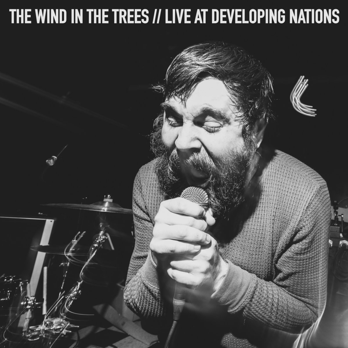 THE WIND IN THE TREES - Live At Developing Nations cover 