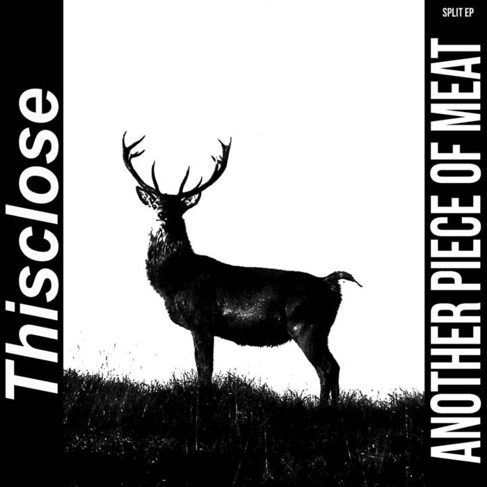 THISCLOSE - Another Piece Of Meat / Pollution Not To Stop cover 