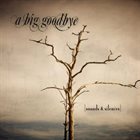 A BIG GOODBYE Sounds & Silences album cover