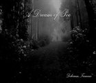 A DREAM OF POE Delirium Tremens album cover