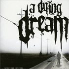 A DYING DREAM Now Or Never (2006) album cover