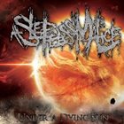 A SLEEPLESS MALICE Under a Dying Sun album cover