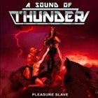 A SOUND OF THUNDER Tales From The B Side (Pleasure Slave) album cover