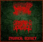 ABHORER Zygotical Ecstacy album cover