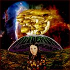 ACIDEMIA Acid Jams album cover