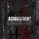 ACIDRODENT Below Absent Gods album cover