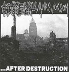 AGAMENON PROJECT ...after Destruction album cover