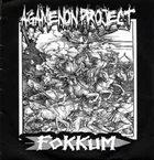 AGAMENON PROJECT Agamenon Project / Fokkum album cover