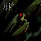 AKRIS — Akris album cover