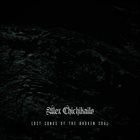 ALEX CHICHIKAILO Lost Songs Of The Broken Soul album cover