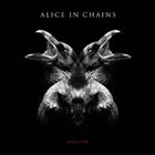 ALICE IN CHAINS — Hollow album cover