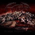 ALLFADER Black Blood Flux album cover