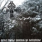 ALSTADT Rest These Woods in Solitude album cover