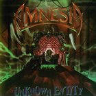 AMNESIA Unknown Entity album cover