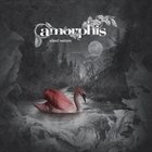 AMORPHIS — Silent Waters album cover