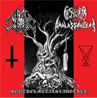 ANAL DESTRUCTOR Southernmetalslaughter album cover