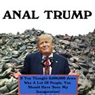 ANAL TRUMP If You Thought Six Million Jews Was A Lot Of People, You Should've Seen My Inauguration album cover