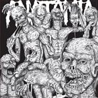 ANATOMIA Anatomia / Living Decay album cover