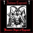 ANIMAE CAPRONII Bizzarre Signs of Capronii album cover