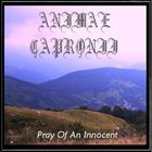 ANIMAE CAPRONII Pray of an Innocent album cover