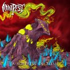 ANNA PEST A Fortress Of Flesh album cover