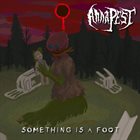 ANNA PEST Something Is A Foot album cover