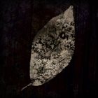 ANNAPURNA — I Am A Leaf album cover