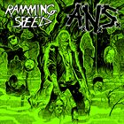 ANS Ramming Speed / ANS album cover