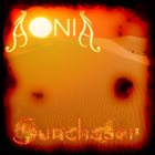 AONIA Sunchaser album cover