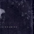 ASCENDENCE Screaming album cover
