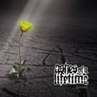 ASHES OF A LIFETIME Green album cover