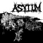 ASYLUM (VA-2) Asylum album cover