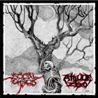 ATITUDE ZERO Social Chaos / Atitude Zero album cover