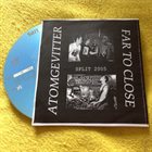ATOMGEVITTER Split 2005 album cover