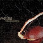 AUCKENROSE — Physis album cover