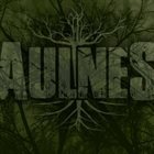AULNES Aulnes album cover