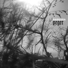BARBARA Peger album cover