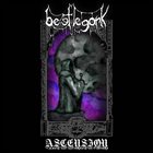 BEETLEGORK Ascension album cover