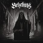 BELZEBUBS Pantheon Of The Nightshade Gods album cover