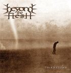 BEYOND THE FLESH Third Storm album cover