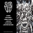 BEYOND THE VOID Ex Nihilo Nihil album cover