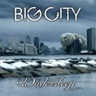 BIG CITY Wintersleep album cover