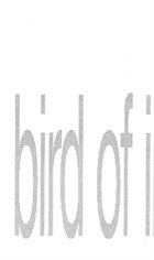 BIRD OF ILL OMEN Bird Of Ill Omen album cover