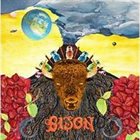 BISON Earthbound album cover